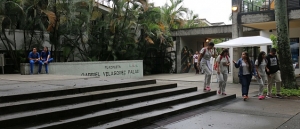 Diez a&ntilde;os de la &lsquo;Especializaci&oacute;n en Fisioterapia Cardiopulmonar&rsquo;