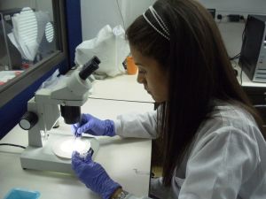 Las patentes en Colombia