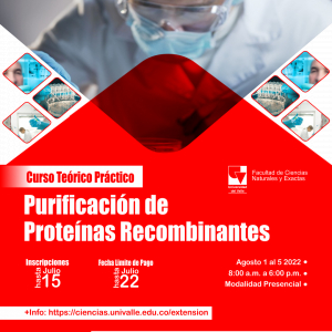 Curso te&oacute;rico-pr&aacute;ctico de purificaci&oacute;n de prote&iacute;nas recombinantes