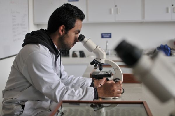 El precio de estudiar un doctorado en Colombia