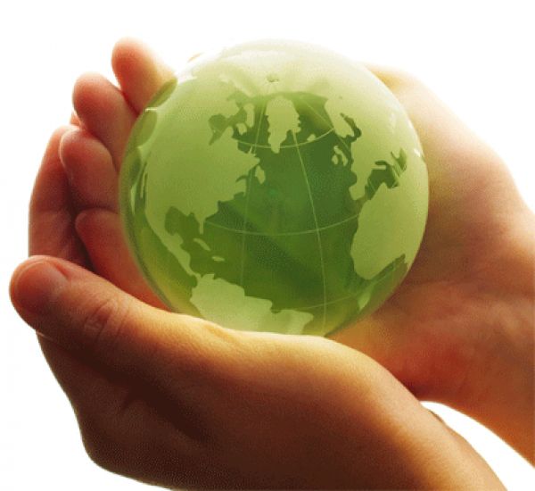 Primer Congreso de Econom&iacute;a Ecol&oacute;gica