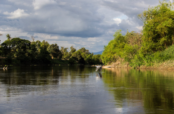 El r&iacute;o Cauca en el foco de las soluciones basadas en naturaleza&nbsp;
