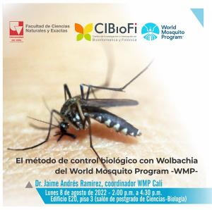 Mosquitos (zancudos) para combatir mosquitos