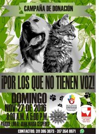 Manos unidas por una mascota desprotegida