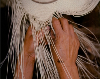 Optimizando el blanqueamiento de la fibra de Iraca