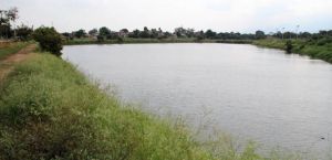 Mejoramiento de la Calidad del Agua del Humedal Charco Azul