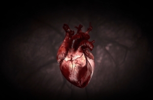 Nueva alternativa en el tratamiento de falla card&iacute;aca