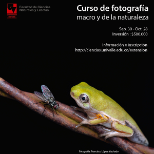 Curso de fotograf&iacute;a macro y de la naturaleza