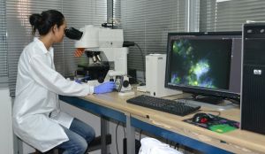 La Alta Calidad tambi&eacute;n se mide en los posgrados