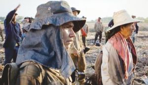 Sobre el despojo y la b&uacute;squeda del ascetismo