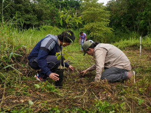 Participa de la siembra de &aacute;rboles y mantenimiento de jardines polinizadores en el Campus Mel&eacute;ndez