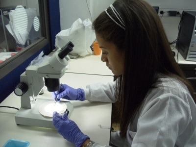 Universidad Nacional, Los Andes y Valle son las mejores en investigaci&oacute;n