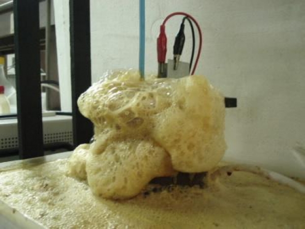 Patentan m&eacute;todo para el tratamiento electroqu&iacute;mico de la vinaza