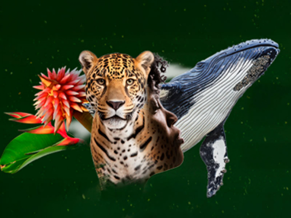 Cali, sede de la Cumbre Mundial de Cuidadoras de la Biodiversidad