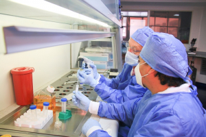 Capacidades para innovar y crear: resultados de la gesti&oacute;n en investigaci&oacute;n