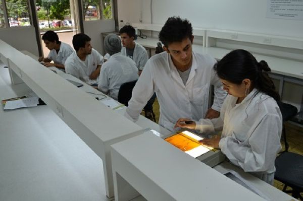 Abiertas las inscripciones a posgrado