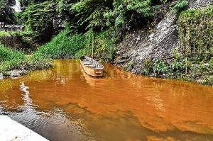 El r&iacute;o Cauca tambi&eacute;n est&aacute; contaminado con residuos farmac&eacute;uticos