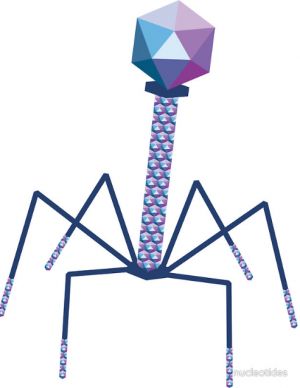 Superindustria otorga patente a la Universidad del Valle para un dispositivo que permite inyectar medicamentos directamente en las c&eacute;lulas enfermas