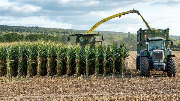 Univalle abre programa de Agroindustria