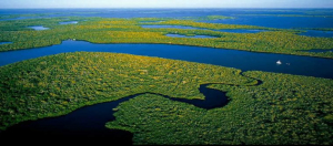 Aciertos y retos en la reducci&oacute;n de la deforestaci&oacute;n en la Amazon&iacute;a, un evento de MinAmbiente y Univalle