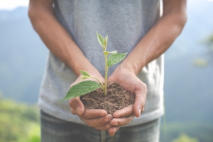 Conceptos para ser un ciudadano inteligente