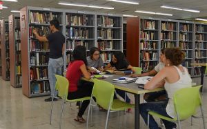 Colecci&oacute;n general de la biblioteca, revive