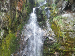 TIC para la vida: tecnolog&iacute;as al servicio del agua y el territorio