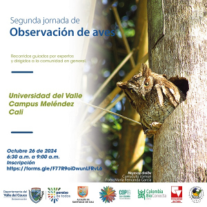 Segunda jornada de observaci&oacute;n de aves en Univalle